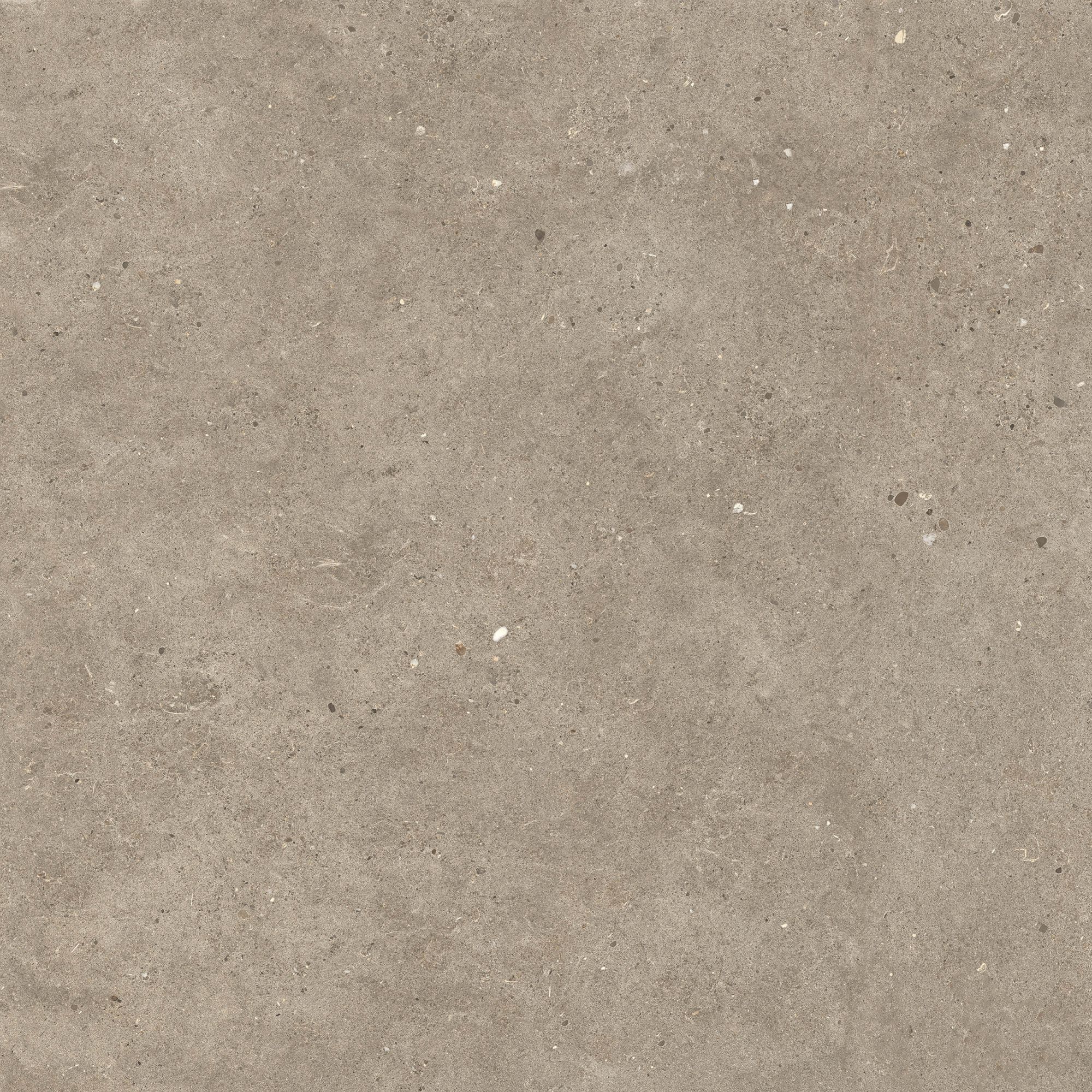 SILVER-GRAIN-TAUPE-Italgraniti-409169-vrel3cbeac1d