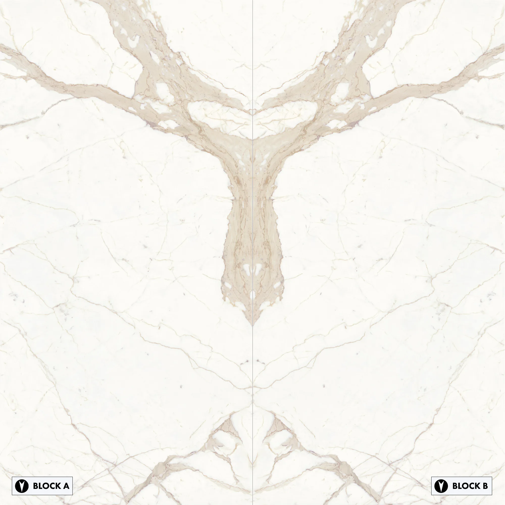 Calacatta Oro Bookmatched