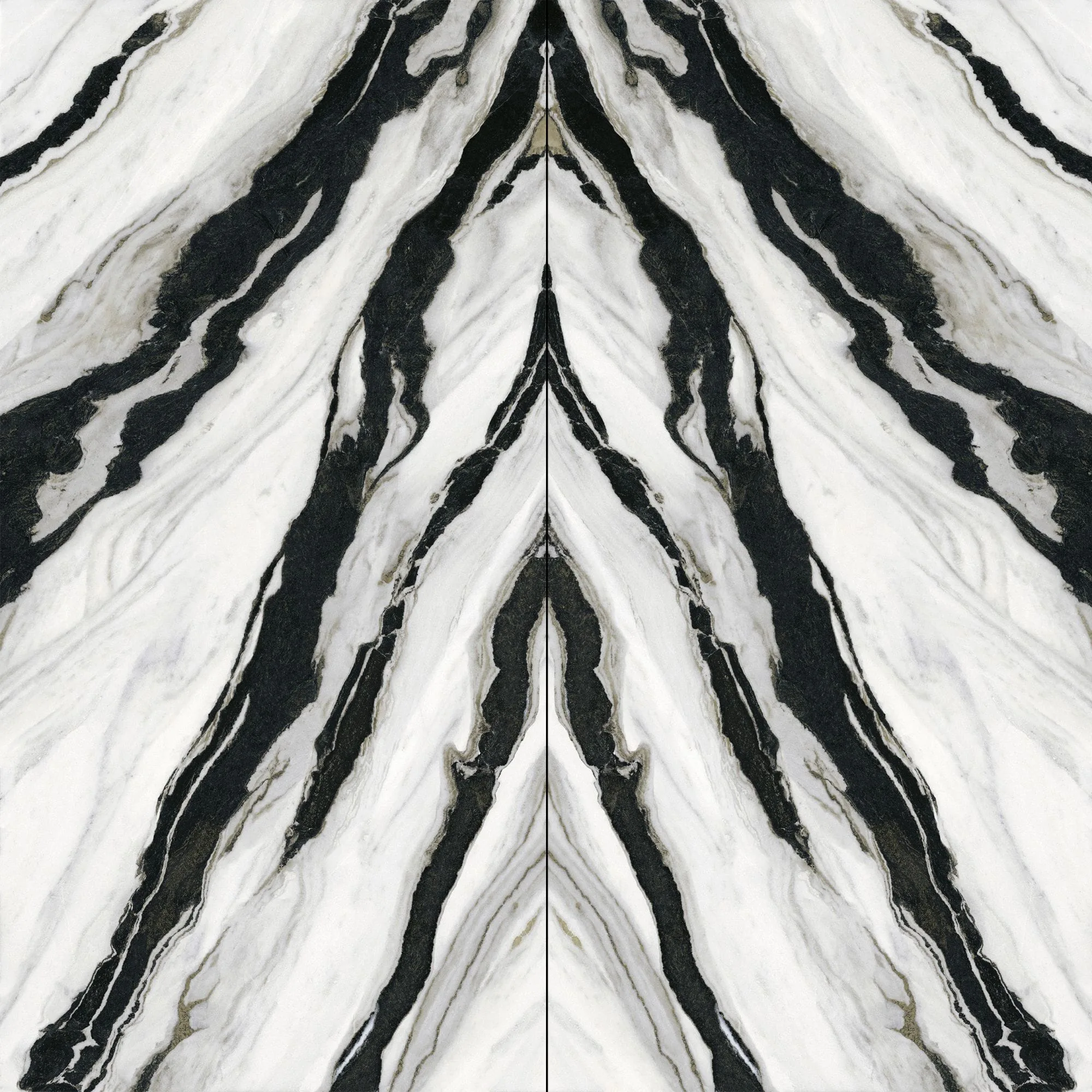 panda-bookmatched